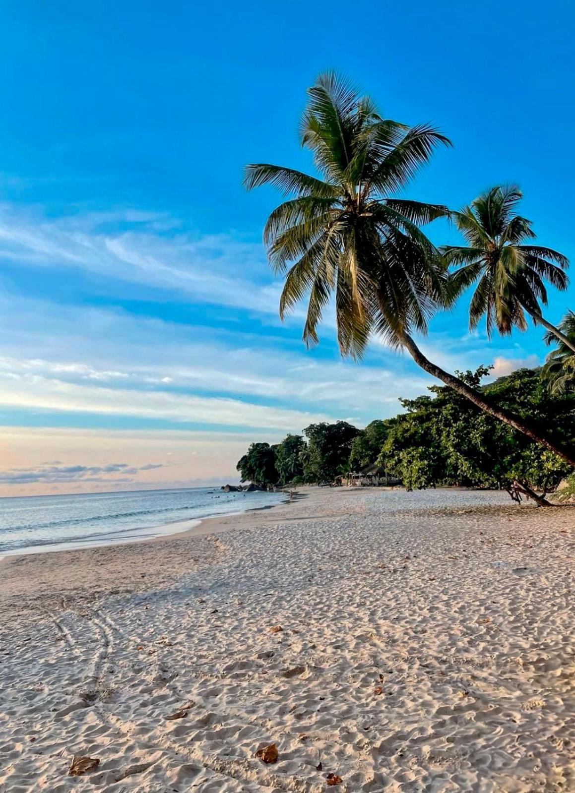 Bord Mer Villa Бо-Валлон Екстер'єр фото